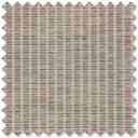 Kendo Tortoise Shell