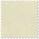 Papillon Jasmine White